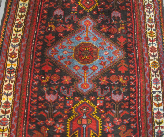 Narrow Hamadan Runner